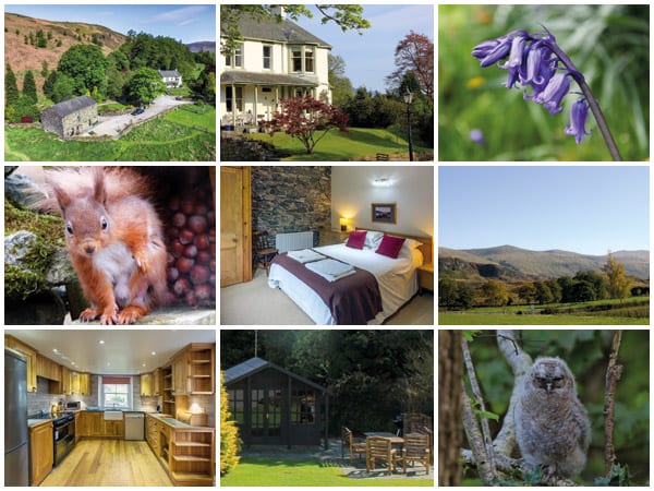 Photos gallery of Brackenrigg Holiday Cottages Keswick